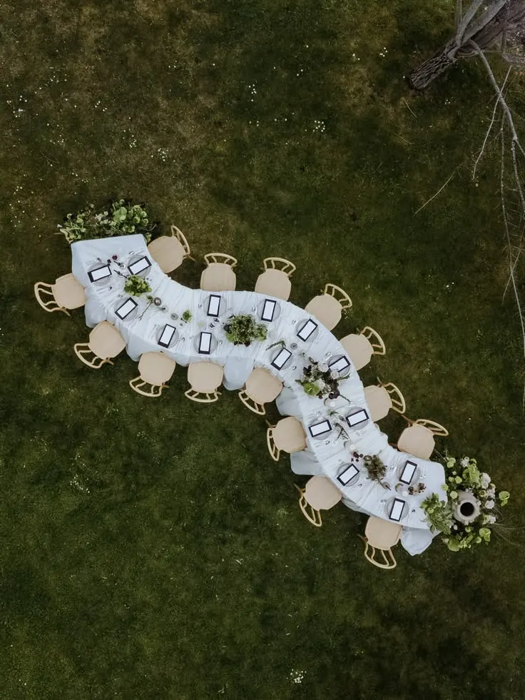 Curved banquet table winding across a lawn, seen from above